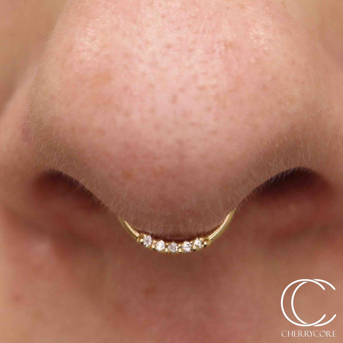 Fixed 5 Gem Seam Ring