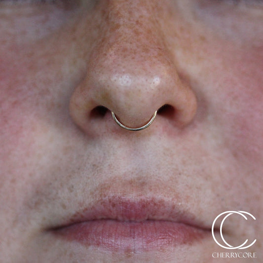 18k Gold Hinged Segment Ring