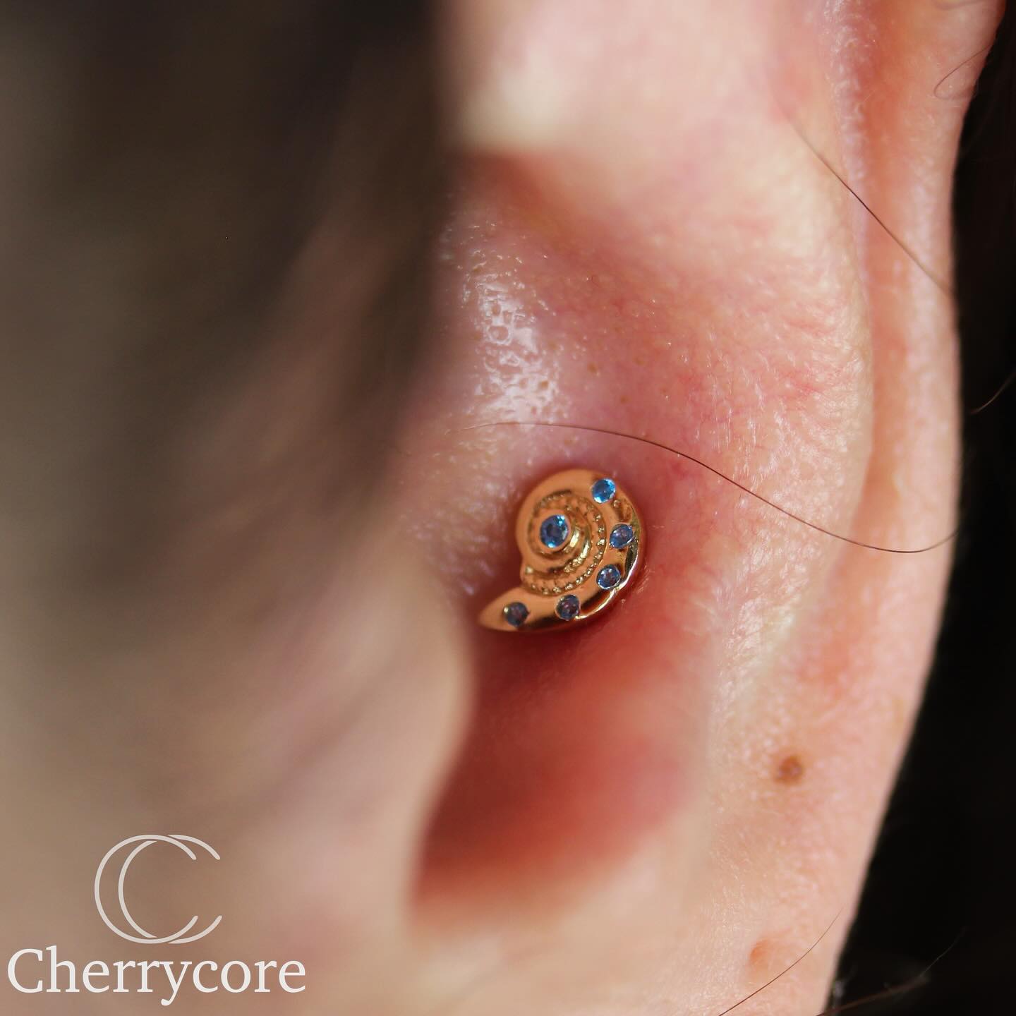 14k Sea Shell- Threadless Attachment