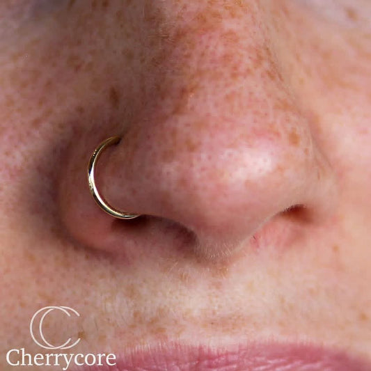 14k Gold Hinged Segment Ring