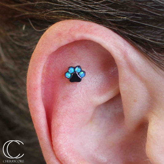 Titanium Paw Print Attachment