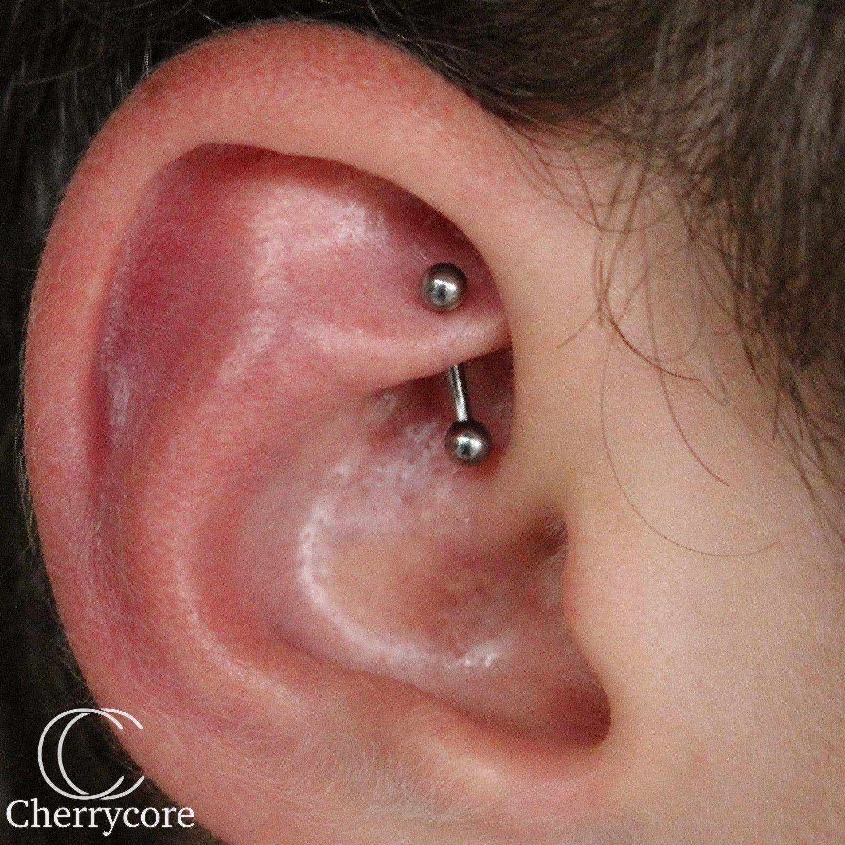 Basic Titanium Curved Barbell – Cherrycore - Main Image