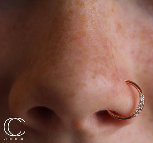 Fixed 5 Gem Seam Ring