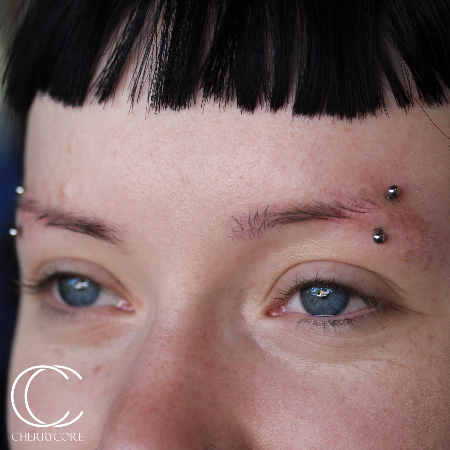 Basic Titanium Curved Barbell