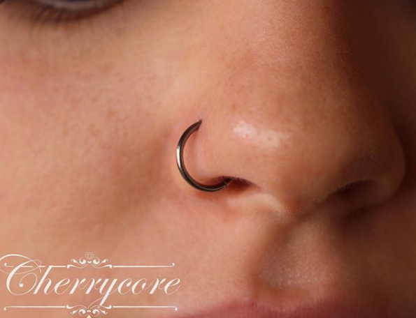Titanium Hinged Segment Ring