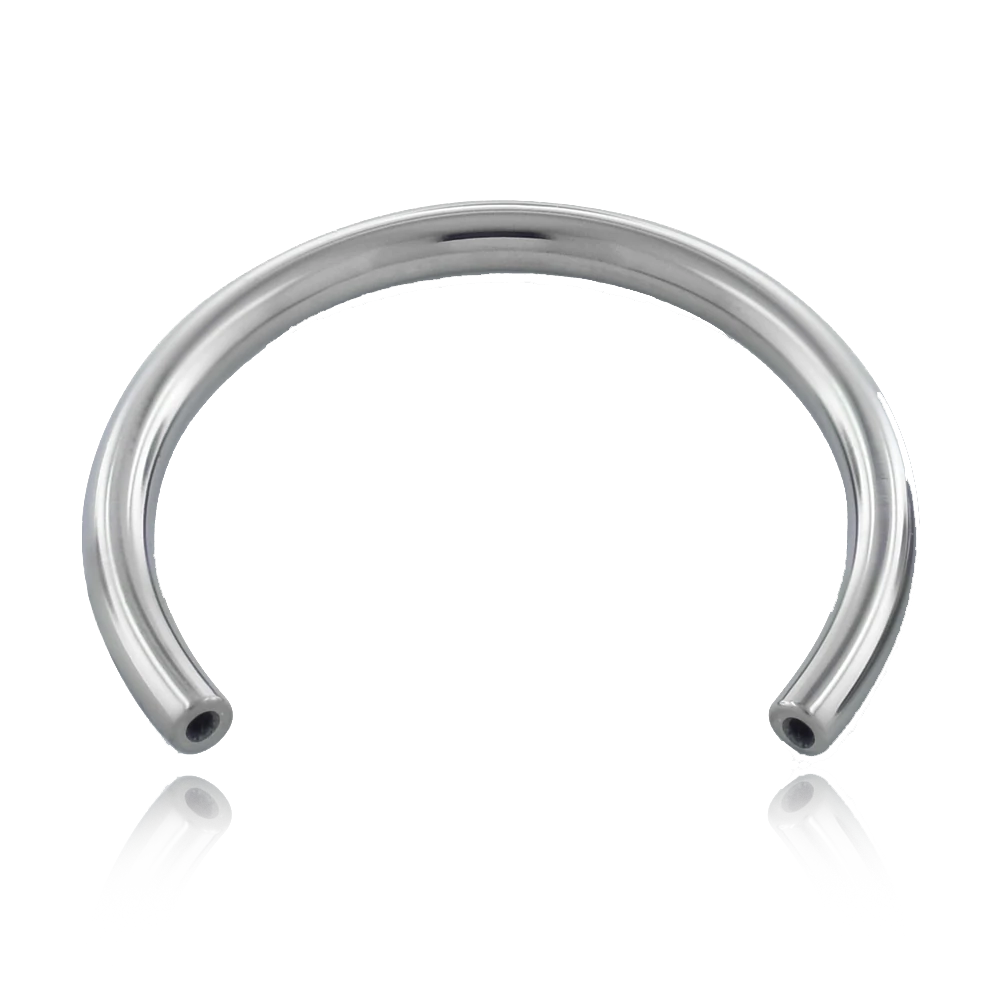 Titanium Threadless Circular Barbell