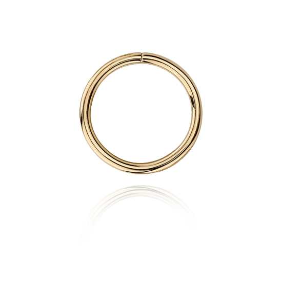 14k Gold Seam Ring
