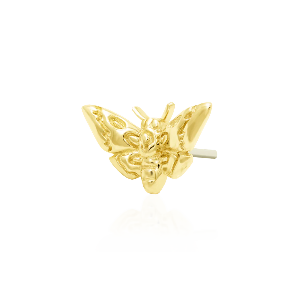 Deaths Head Moth Threadless Attachment