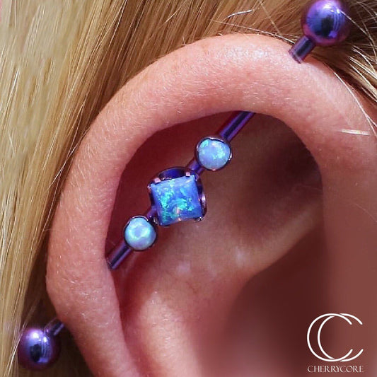 Premium Titanium Industrial Barbell