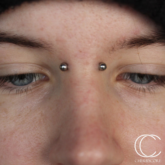 Basic Titanium Threaded Straight Barbell