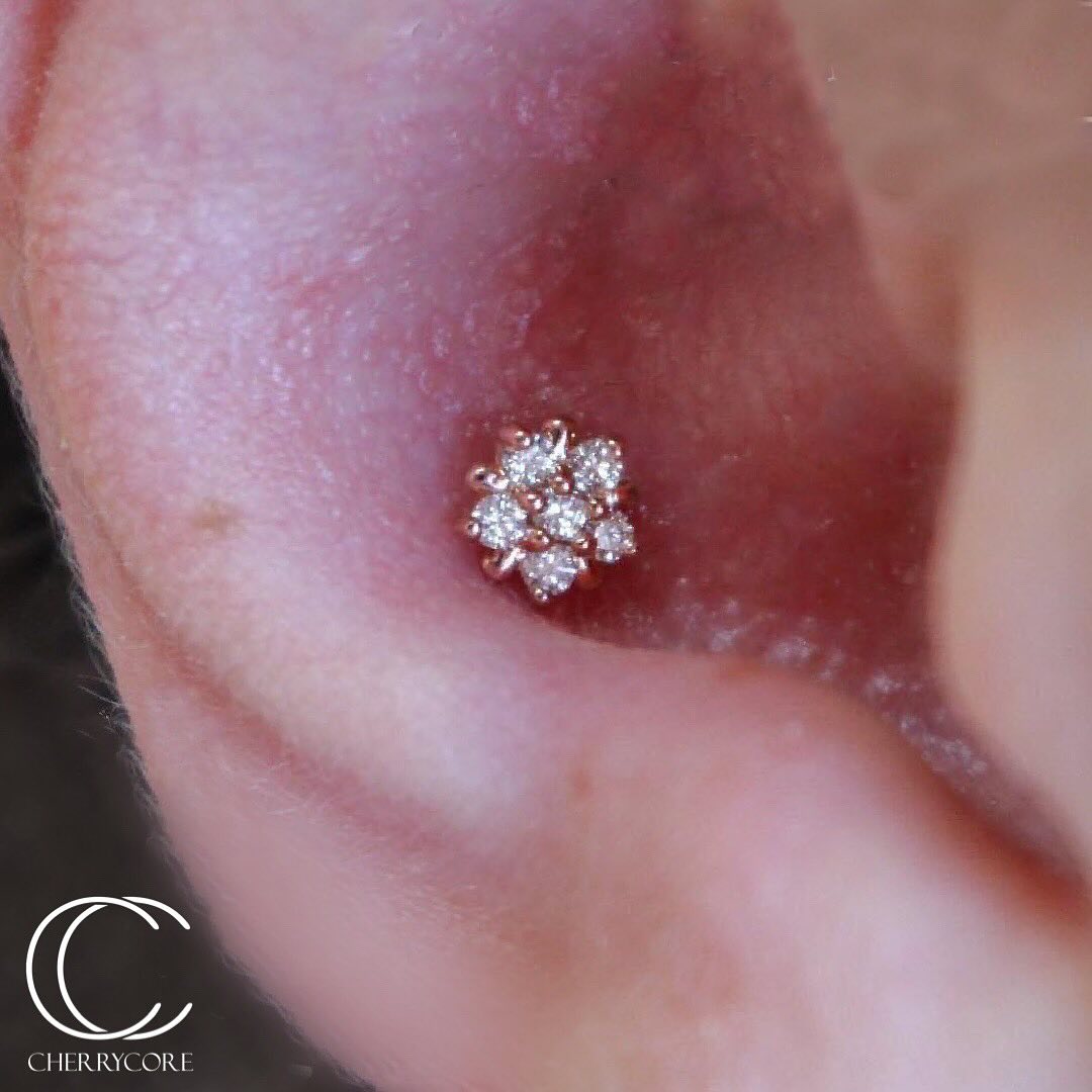 Arya Star Threadless Attachment