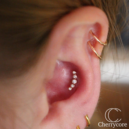 14k Gold Hinged Segment Ring