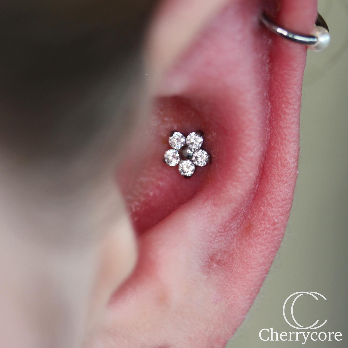 Titanium Flower Threadless Attachment