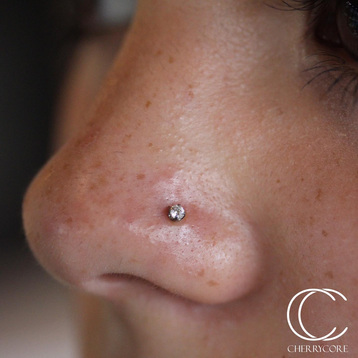 Titanium Prong Set Gem Threadless Attachment
