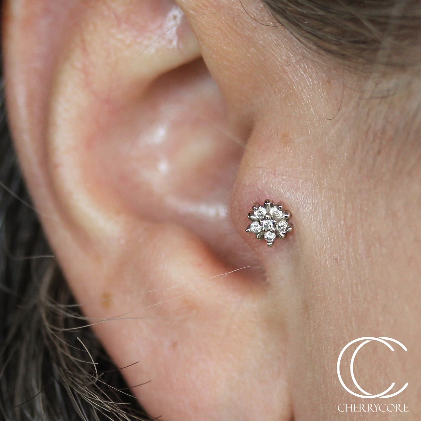 Arya Star Threadless Attachment