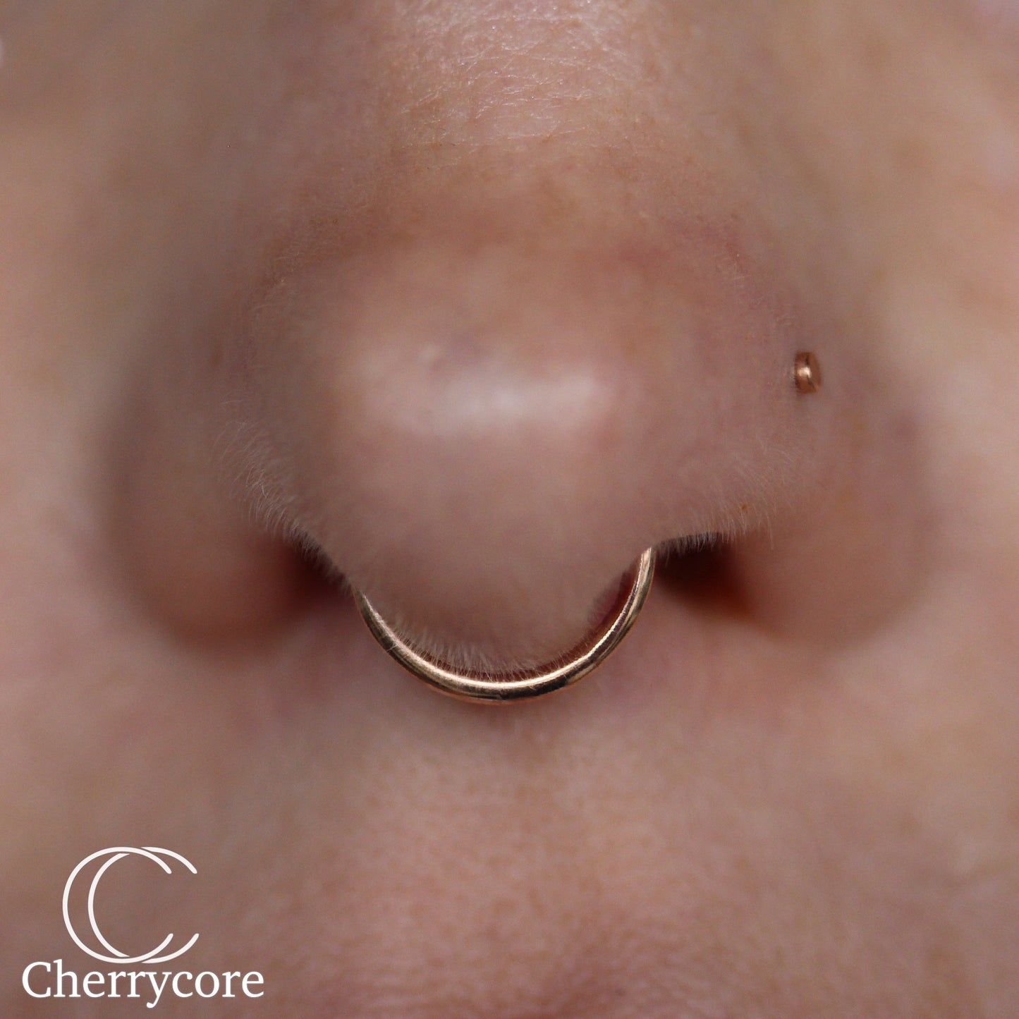 18k Gold Hinged Segment Ring