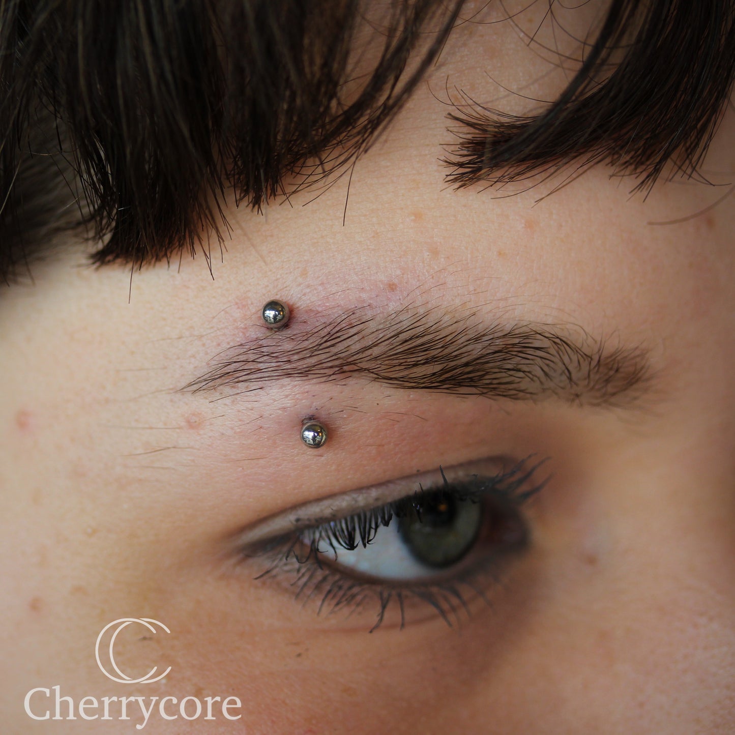 Basic Titanium Curved Barbell