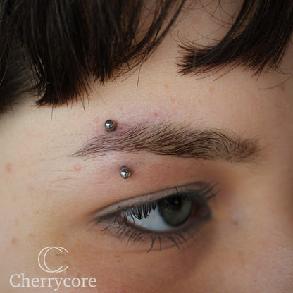 Basic Titanium Curved Barbell