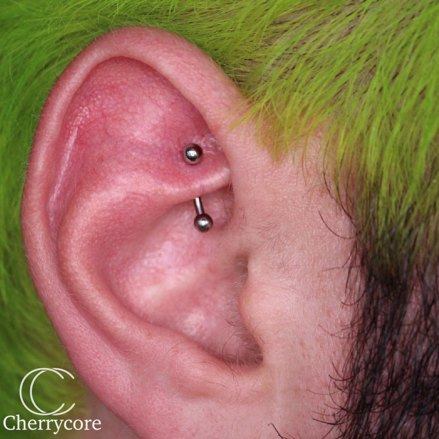 Basic Titanium Curved Barbell