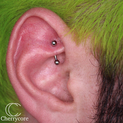 Basic Titanium Curved Barbell
