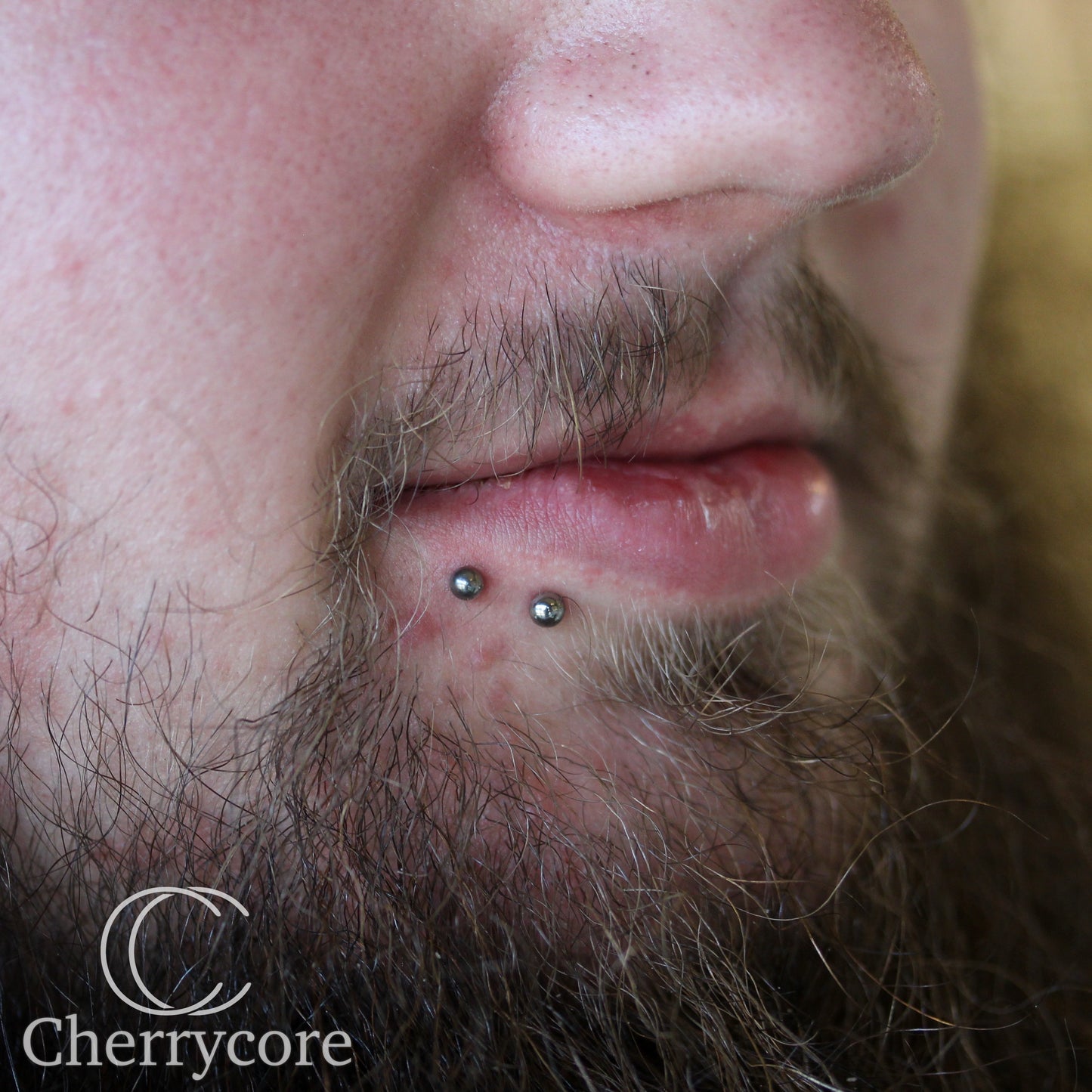Basic Titanium Threaded Labret Post
