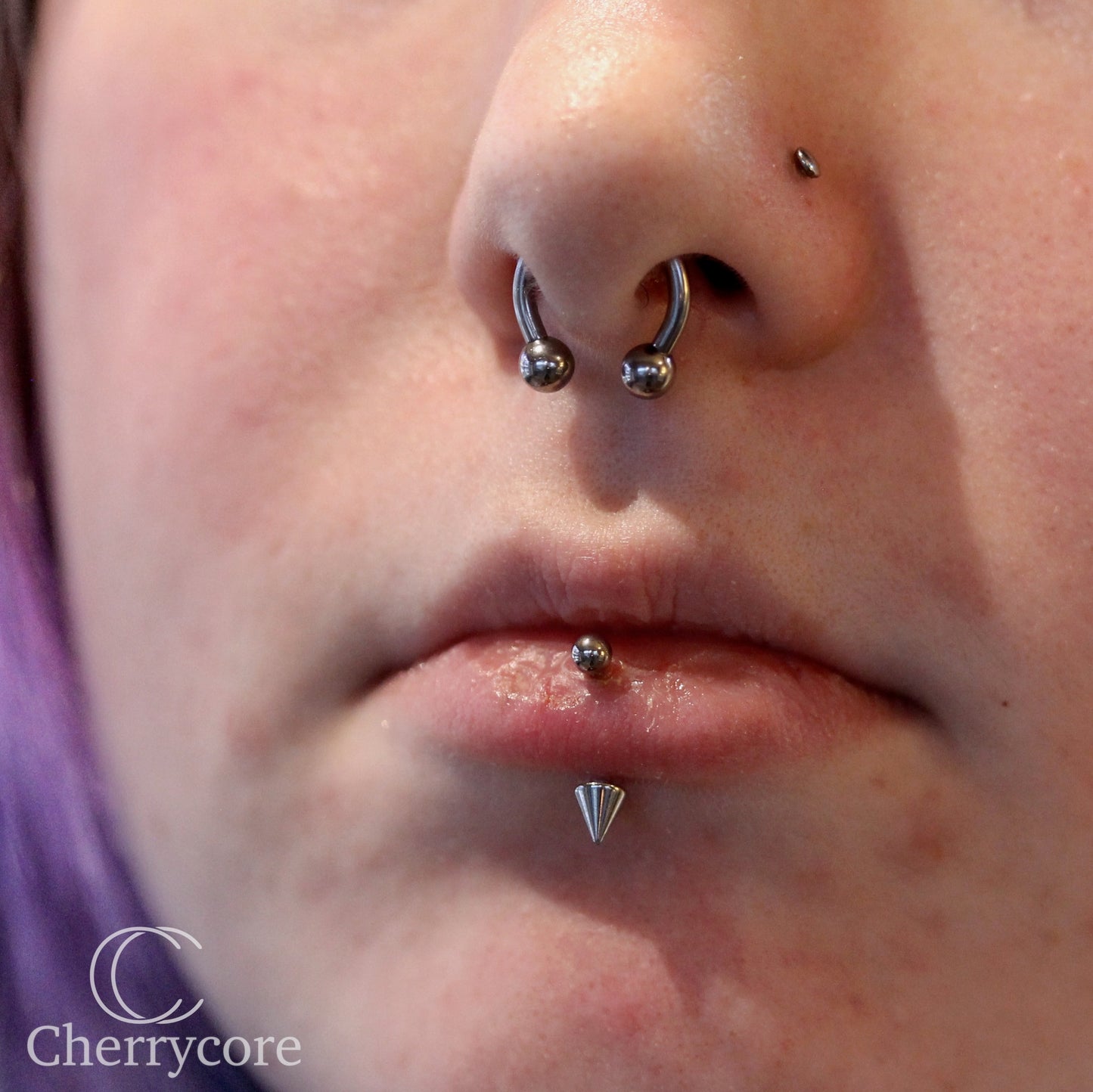 Basic Titanium Circular Barbell / "Horseshoe" (CBB)