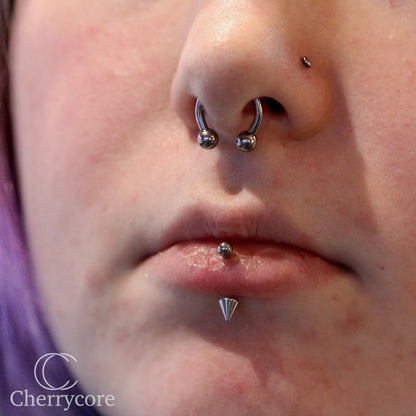 Basic Titanium Circular Barbell / "Horseshoe" (CBB)