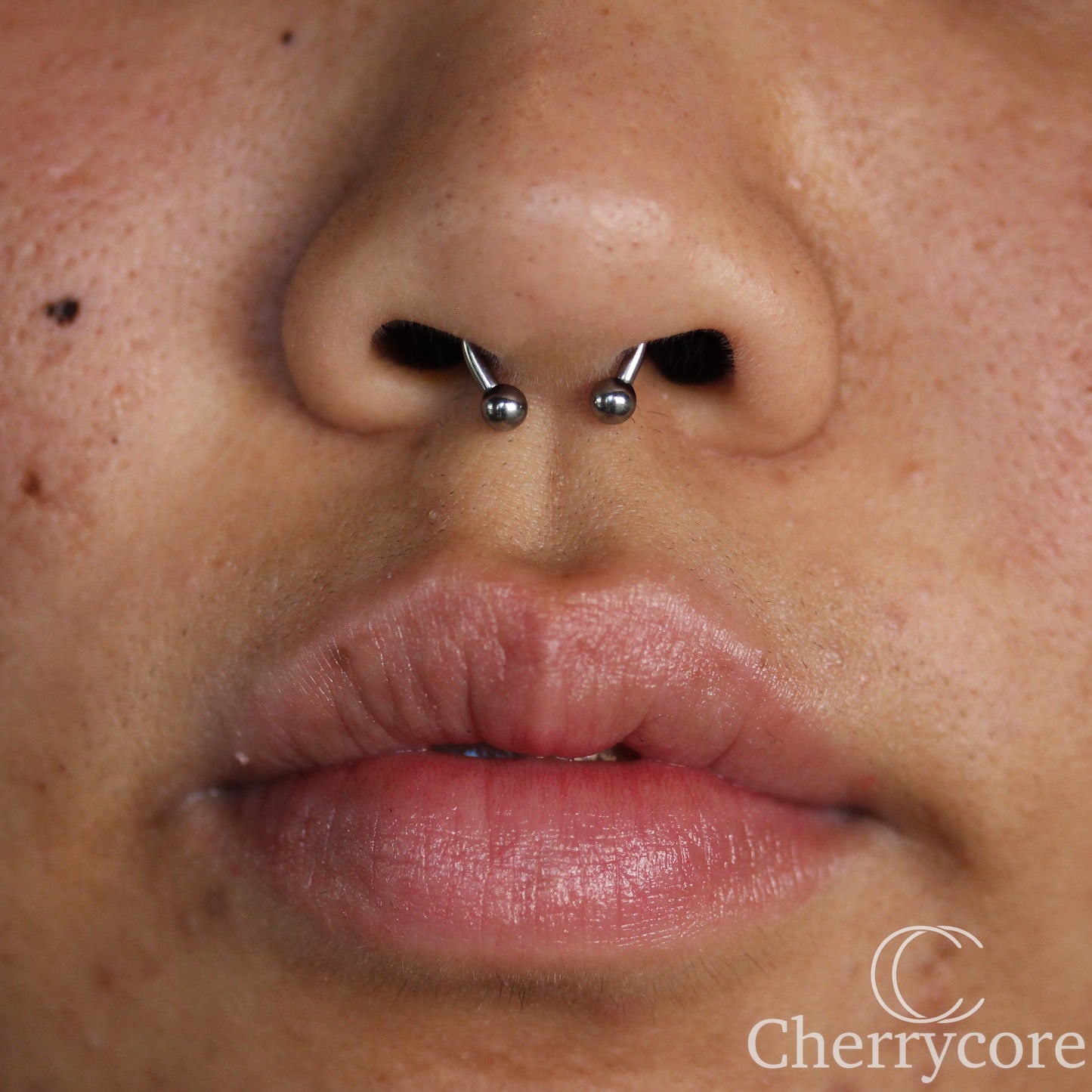 Basic Titanium Circular Barbell / "Horseshoe" (CBB)