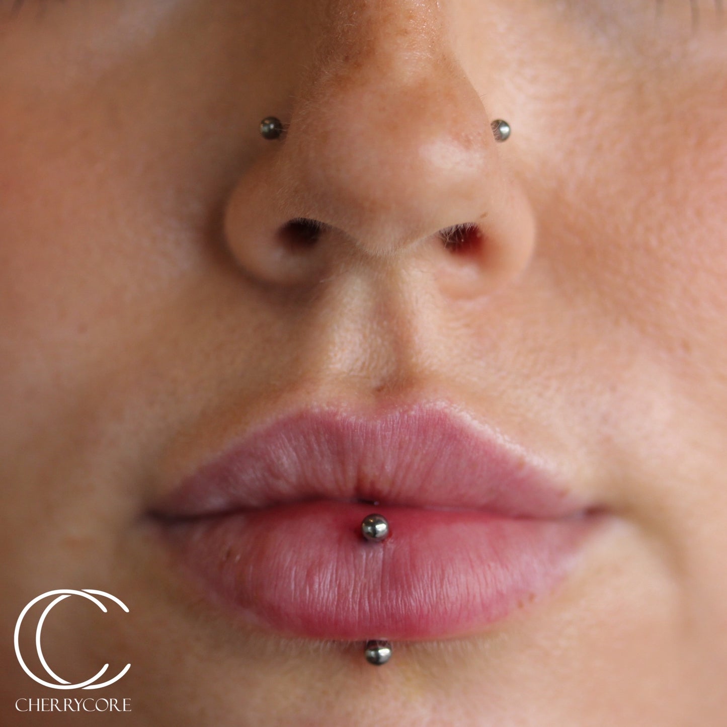 Basic Titanium Curved Barbell