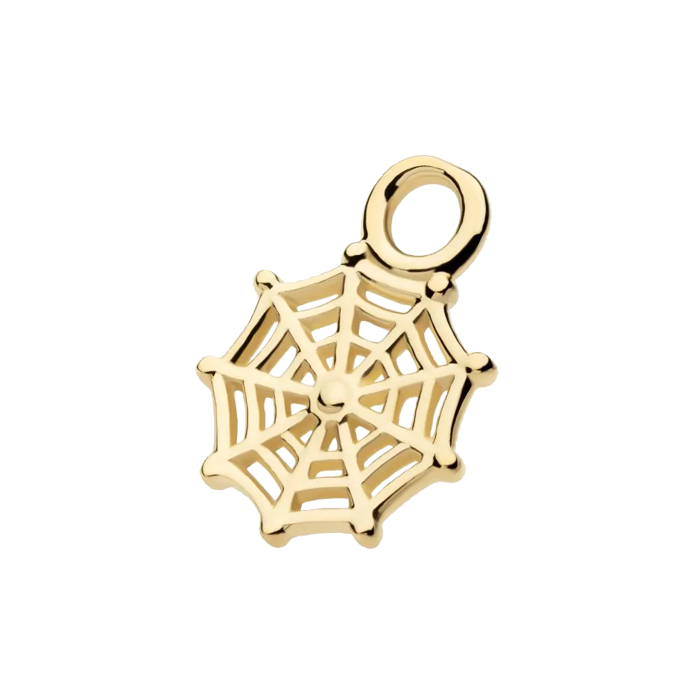Spiderweb Charm
