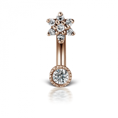 Diamond Flower Rook Curve