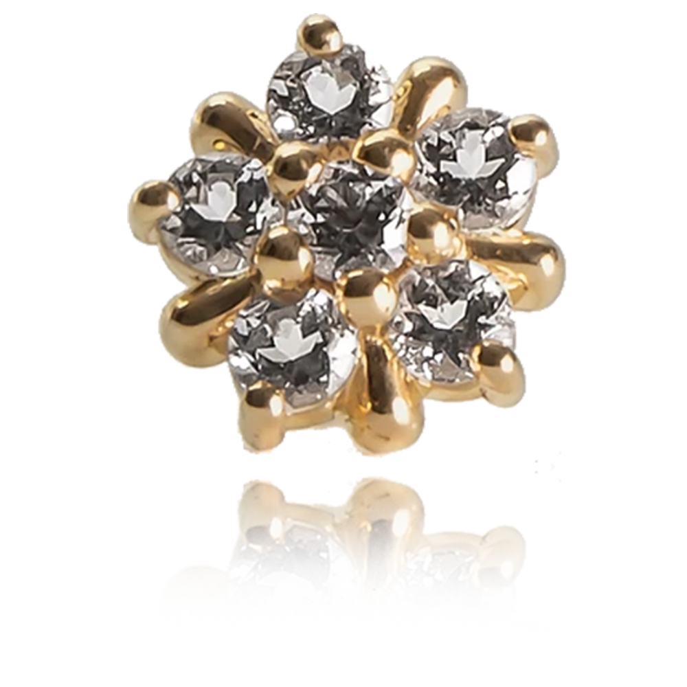 Arya Star Threadless Attachment – Cherrycore