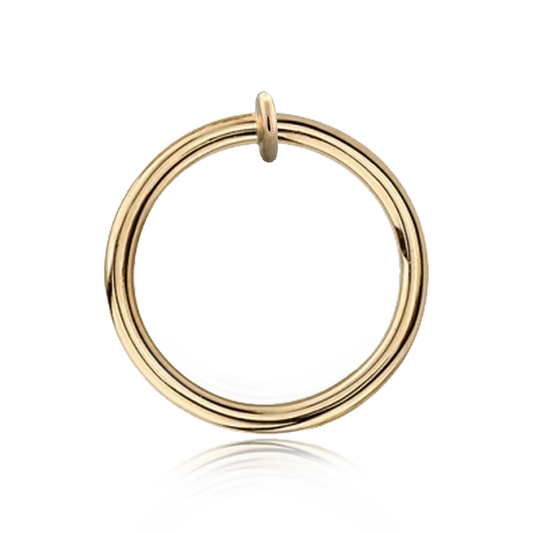 14k Fixed Disk Ring