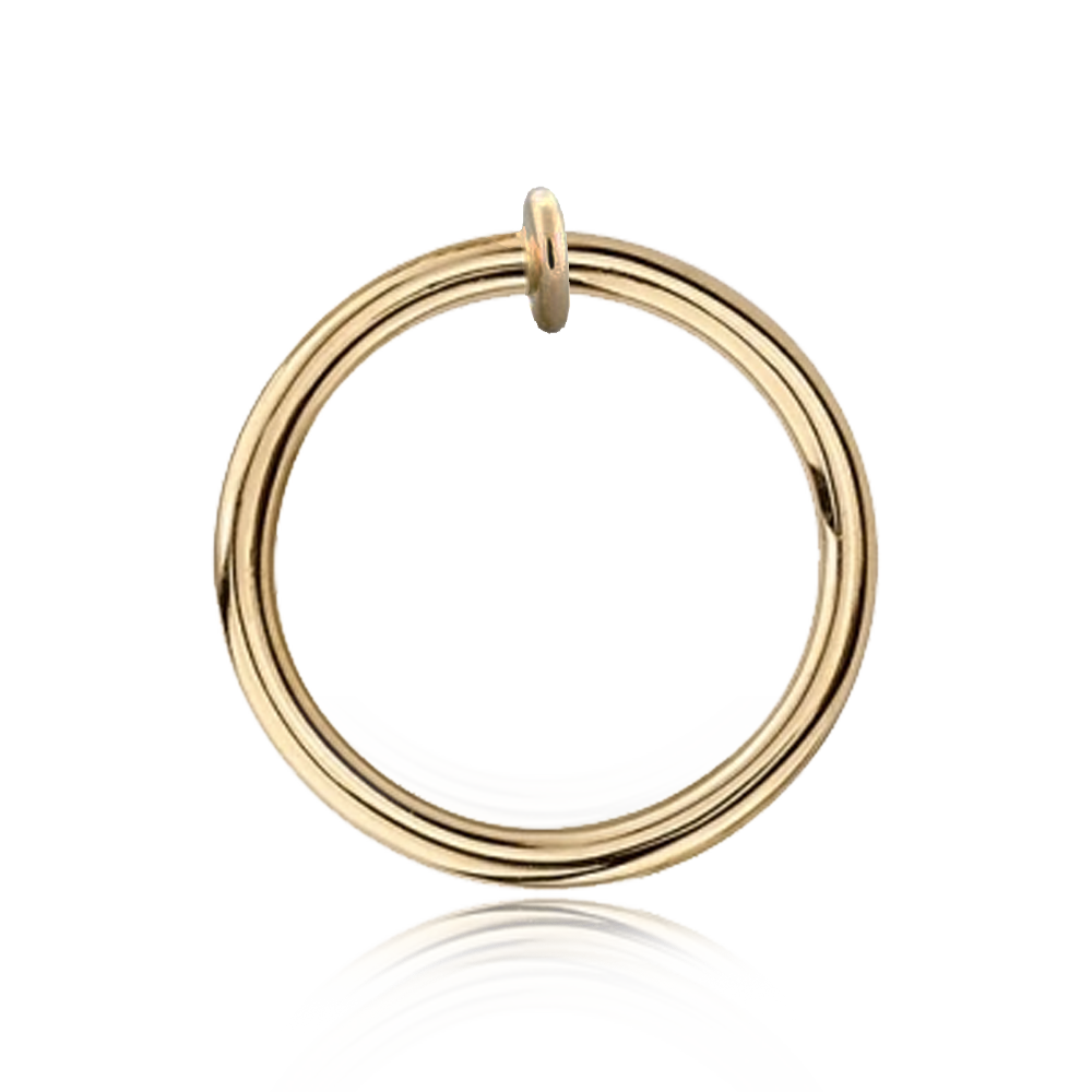 14k Fixed Disk Ring