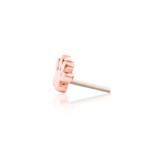 Mini Paw Threadless Attachment